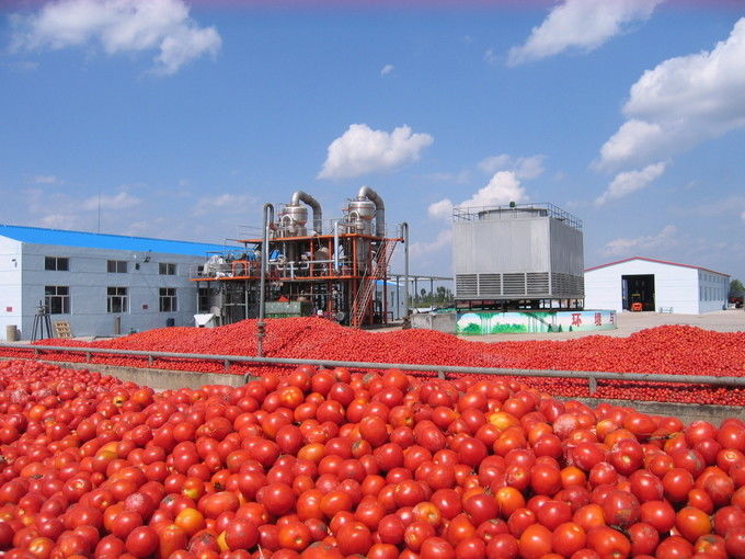 Arkhum (Tianjin) Health Technology Co., Ltd. Herstellerfertigungsstraße